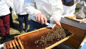 Arıcılık kursu tamamlandı