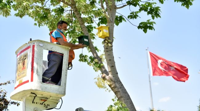 Parklar rengarenk kuş evleriyle donatıldı