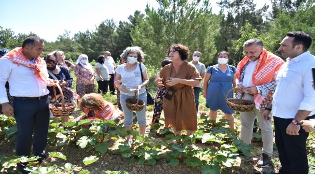 Bornova'da ilk bamya hasadı Neptün Soyer'den