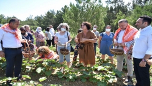 Bornova'da ilk bamya hasadı Neptün Soyer'den