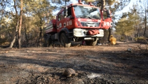 Çiçekliköy'deki yangın korkuttu