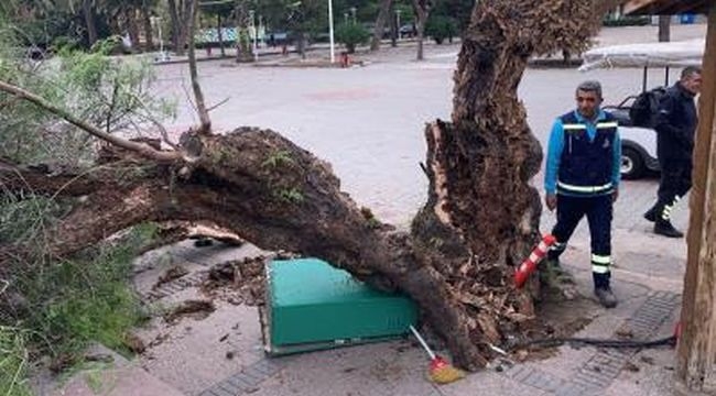 İzmir'deki fırtına