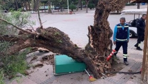 İzmir'deki fırtına