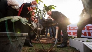 İkizdere'den kurtarılan fidanlar İzmir'e 
