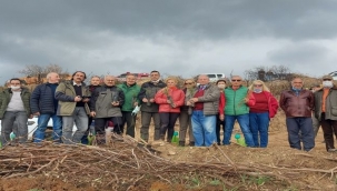 Gazetecilerden 1000 fidan