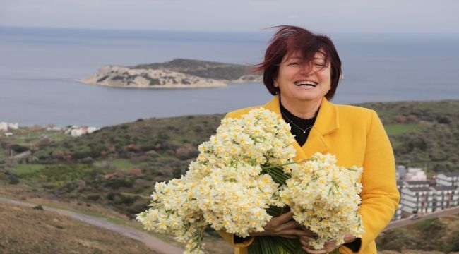 Karaburun Nergis Festivali'ne hazırlanıyor 