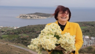 Karaburun Nergis Festivali'ne hazırlanıyor