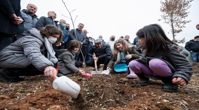 Soyer: ''Her bir ağaca dair sorumluluğumuz var''