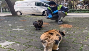 Can dostlara daha çok mama