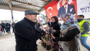 Başkan Soyer'den zeytinlik düzenlemesine tepki