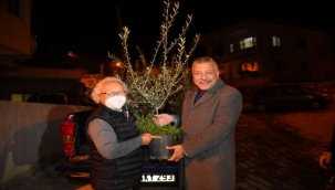 Bornova'da zeytin budama eğitimi