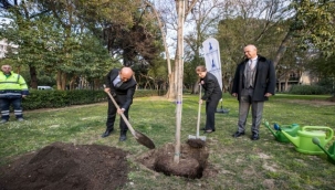 Brezilya'dan İzmir'e kardeşlik fidanı