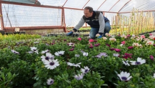 Buca Belediyesi kendi çiçeklerini üretiyor