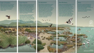 ''Doğa Şehirde'' projesi başladı