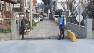 Menderes'te ilaçlama seferberliği