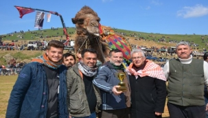 Ödemiş Konaklı, deve güreşlerine ev sahipliği yaptı