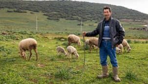 Alım garantili sözleşmeler yapılıyor