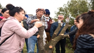 Bornova'da tarıma tam destek