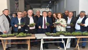 Bornova'da üreticiye 350 bin fide