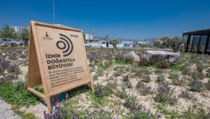 ''Doğa Şehirde'' projesine inceleme