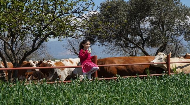 Pınar Süt, 2021'de yüzde 32,2 büyüdü