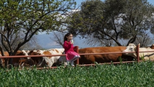 Pınar Süt, 2021'de yüzde 32,2 büyüdü