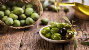 Sofralık zeytin ihracatı