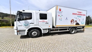 Sokak hayvanları için örnek çalışma