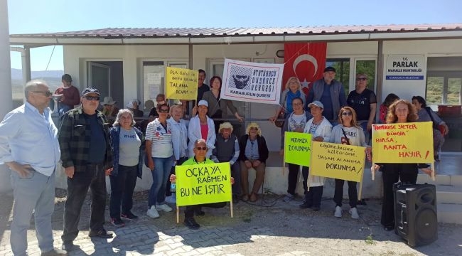 "Bunun adı temiz enerji değil talandır"