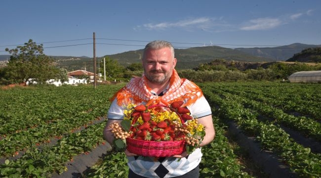 Çilek Festivali heyecanı başladı