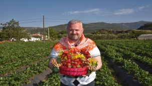 Çilek Festivali heyecanı başladı