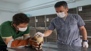 Konak'ta can dostlara eksiksiz hizmet