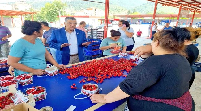 "Plansız tarım, rant kazanma oyuncağı oldu"