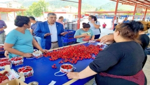 "Plansız tarım, rant kazanma oyuncağı oldu"