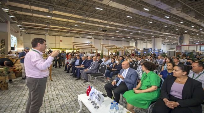 Soyer: "Zeytin bizim için çok kıymetli"