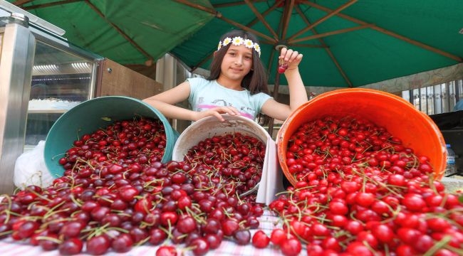 Buca'da Kiraz Festivali 