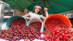 Buca'da Kiraz Festivali 