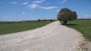 Menderes Belediyesi'nden çiftçiye yeni üretim yolları