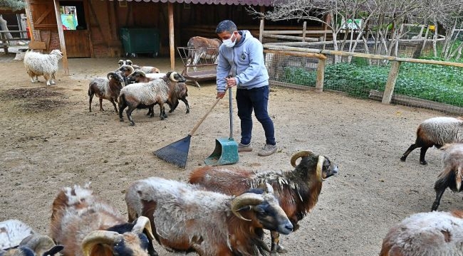 Organik atıklar bu tesiste gübreye dönüşüyor