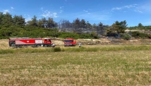 Yangının nedeni araştırılıyor