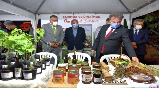 Bornova'da kınalı bamya hasadı