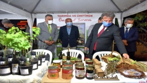 Bornova'da kınalı bamya hasadı