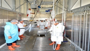 Büyükşehir'in Kurban Bayramı hazırlıkları sürüyor