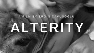 Altın Koza'dan seçme klasikler