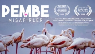 ''Pembe Misafirler'' Los Angeles'ten ödülle döndü