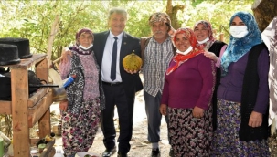 Tarlalarda kurban bereketi