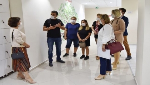 Yerleşke, STK'ların merkezi oldu