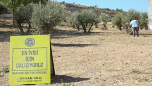 Buca'da yeşil seferberliği