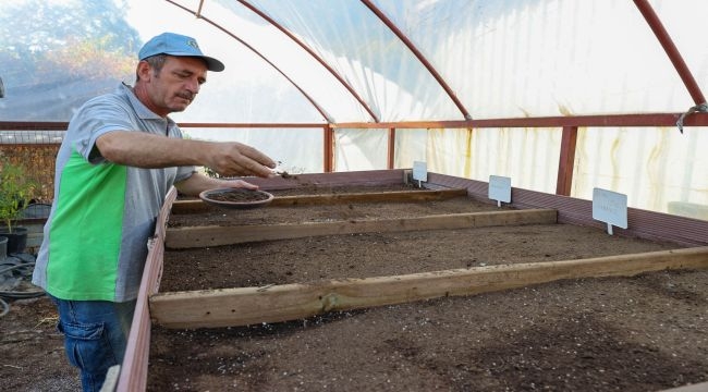 Tohumlar fidana, fidanlar yeşil Buca'ya dönüşüyor 