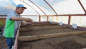 Tohumlar fidana, fidanlar yeşil Buca'ya dönüşüyor